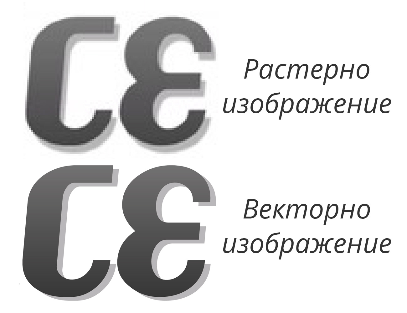 vector